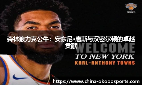 森林狼力克公牛：安东尼·唐斯与汉密尔顿的卓越贡献